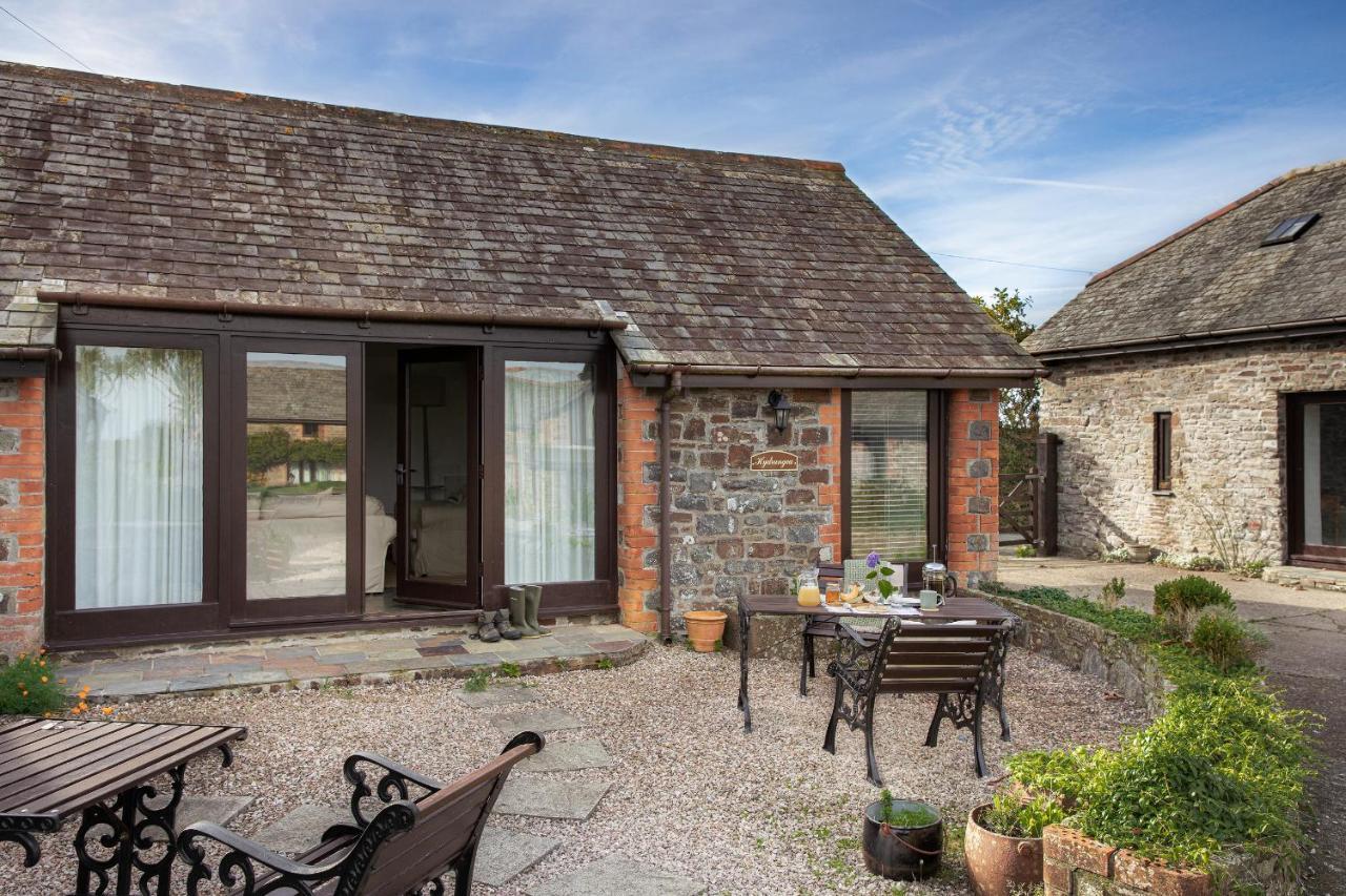 Downe Cottages Hartland Zewnętrze zdjęcie