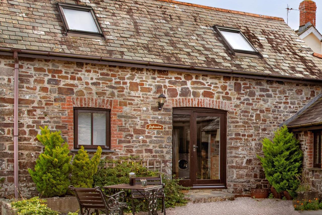 Downe Cottages Hartland Zewnętrze zdjęcie